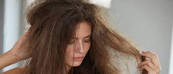 Cabello seco: Veamos los principales cuidados que se deben tener 10 Haskell colombia cabello seco 1 Haskell colombia