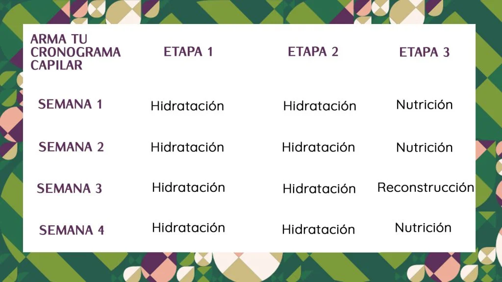 Cronogramas Capilares 1 Haskell colombia arma tu Cronogramas capilares